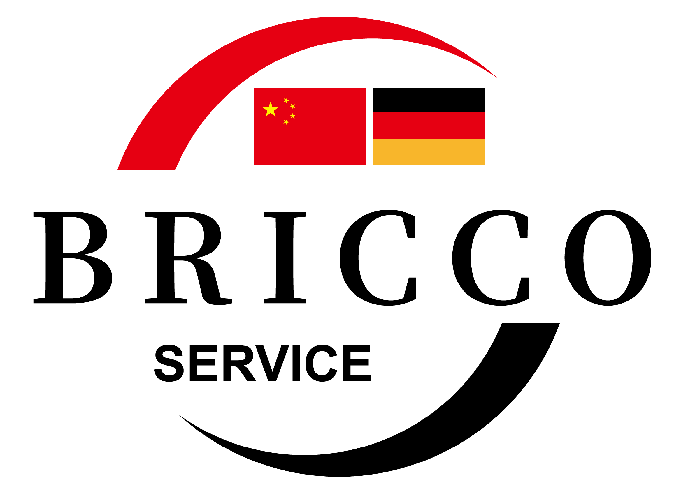 BRICCO SERVICE